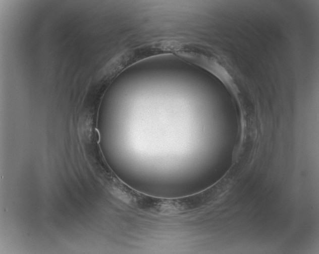 X0000080170697200612151923