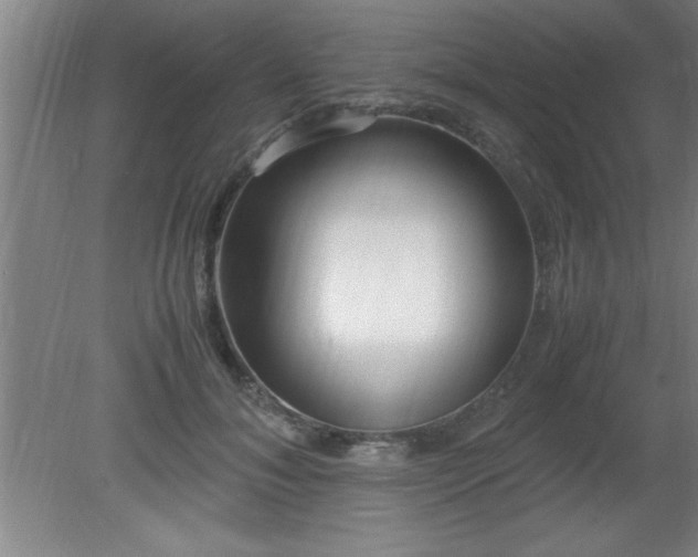 X0000080170700200612151923