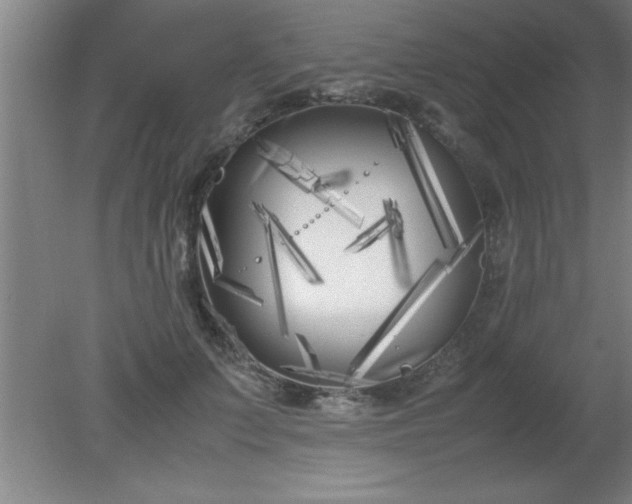 X0000080170703200612151923