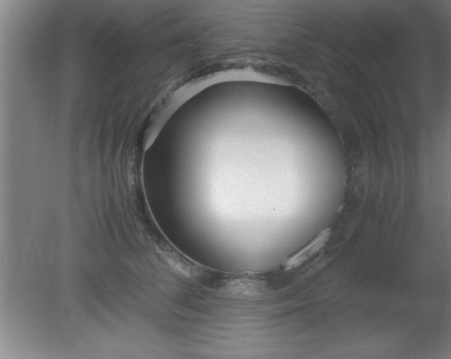 X0000080170708200612151923