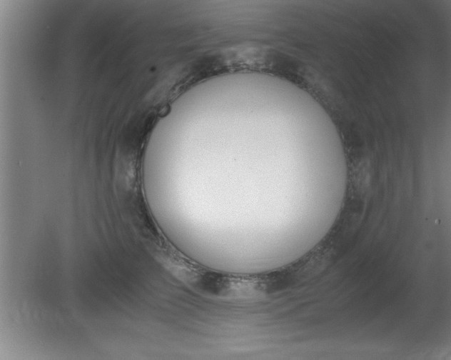 X0000080170709200612151923