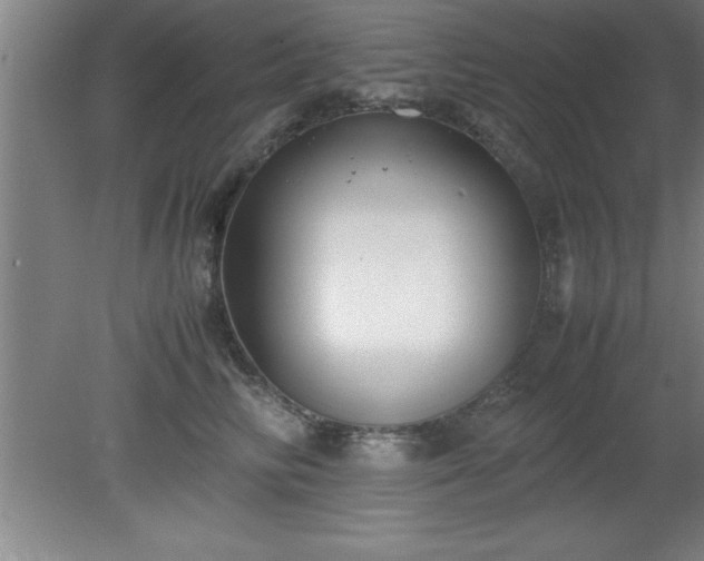X0000080170710200612151923