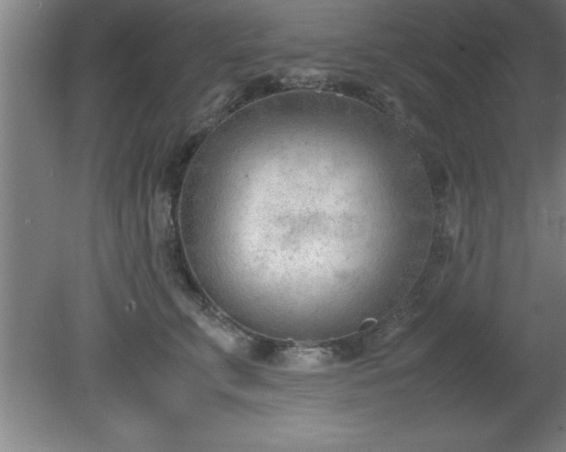 X0000080170711200612151923