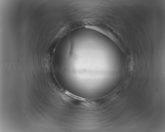 X0000080170712200612151922