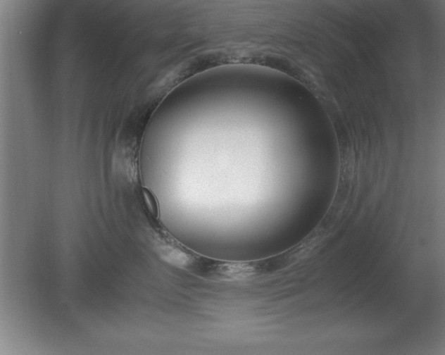 X0000080170719200612151922
