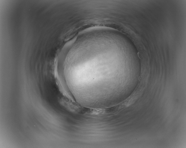 X0000080170720200612151922