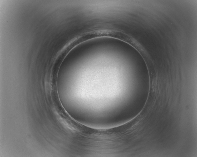 X0000080170722200612151922