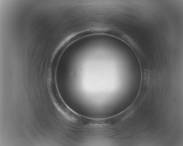 X0000080170726200612151922