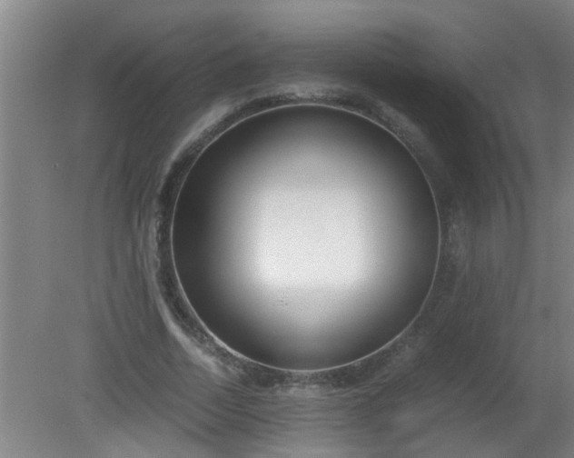 X0000080170730200612151922