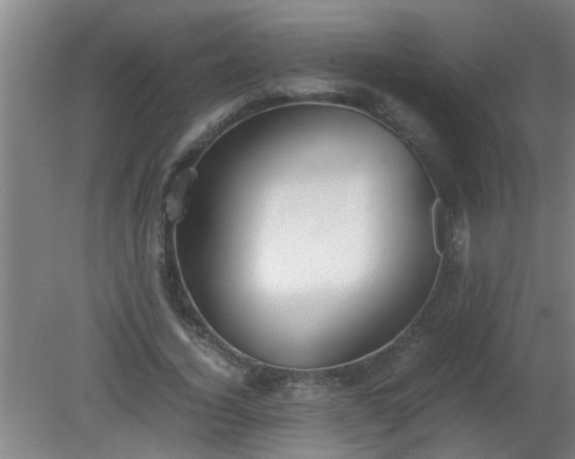 X0000080170732200612151922