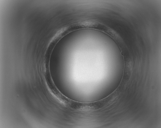X0000080170734200612151922