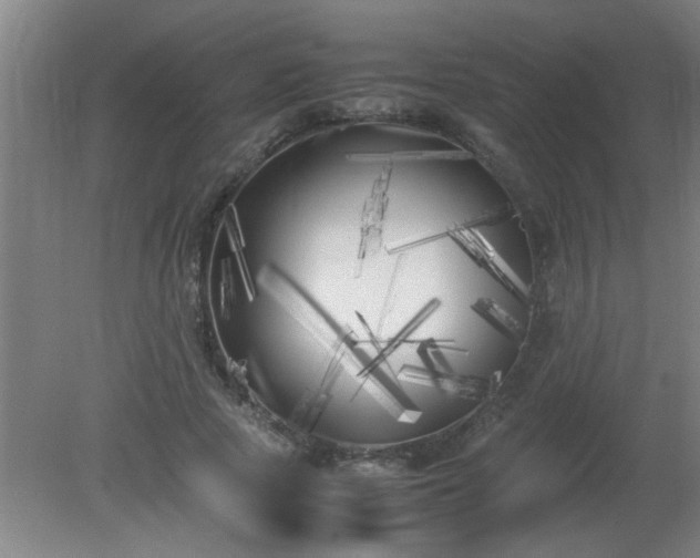 X0000080170737200612151922