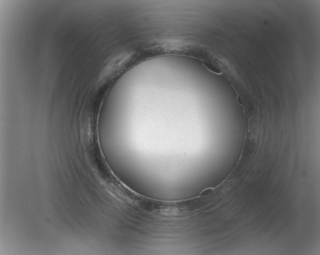 X0000080170740200612151922