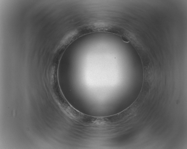 X0000080170742200612151922