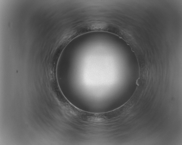 X0000080170743200612151922