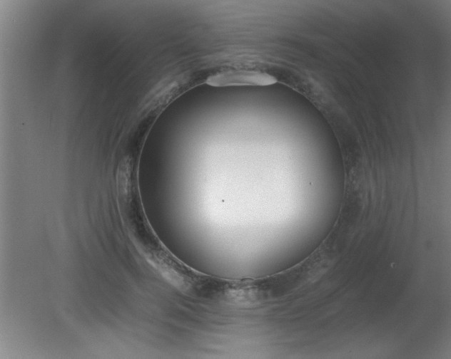 X0000080170744200612151922
