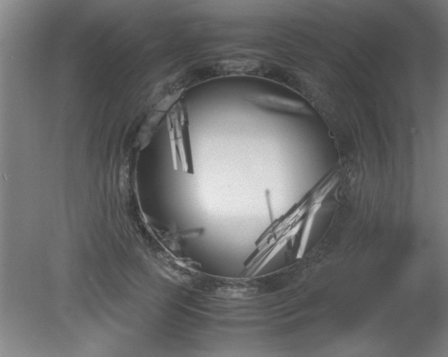 X0000080170745200612151922