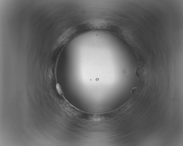 X0000080170746200612151922