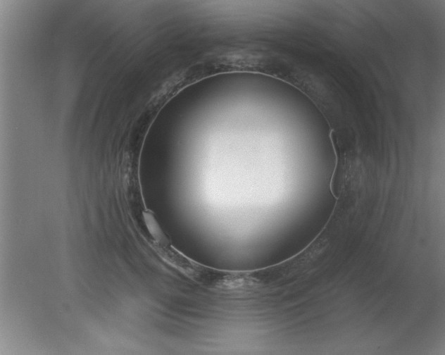 X0000080170752200612151922