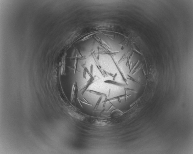 X0000080170753200612151922