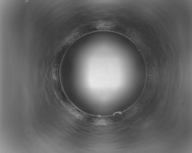 X0000080170755200612151922