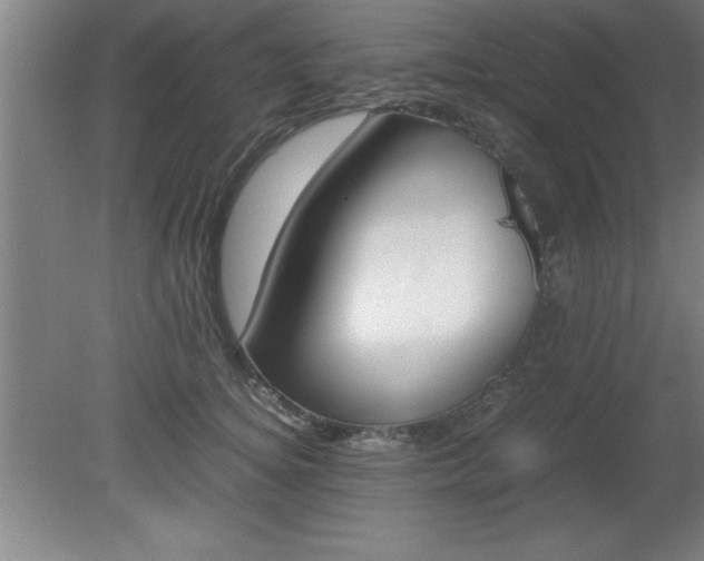 X0000080170756200612151922