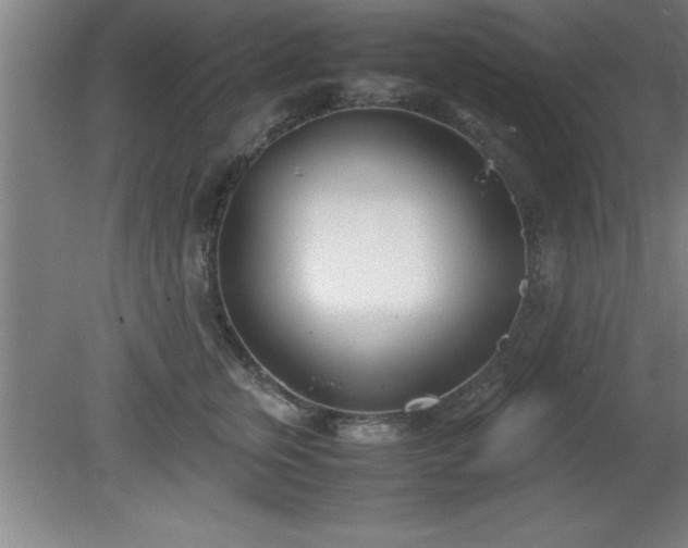 X0000080170759200612151922