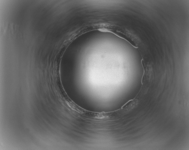 X0000080170760200612151922