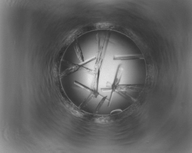 X0000080170761200612151922