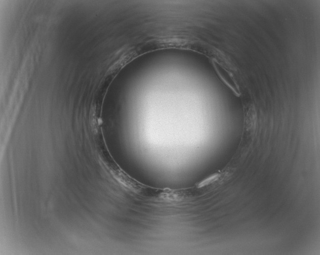 X0000080170764200612151922