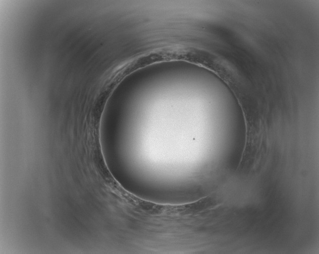 X0000080170773200612151921