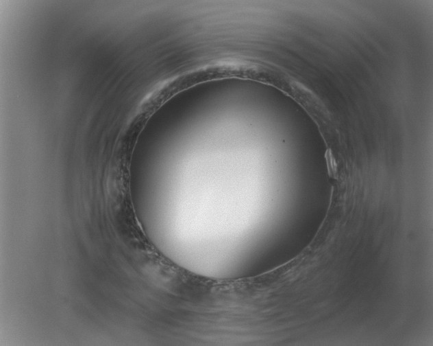 X0000080170776200612151921
