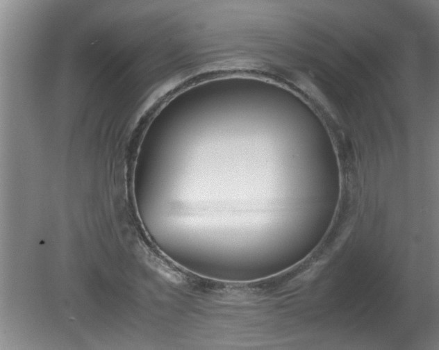 X0000080170781200612151921