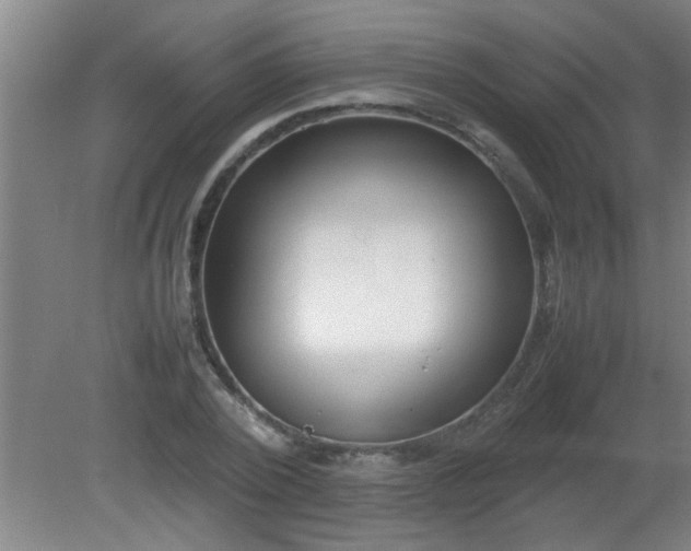 X0000080170784200612151921