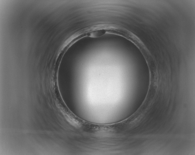 X0000080170786200612151921