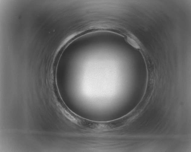 X0000080170787200612151921