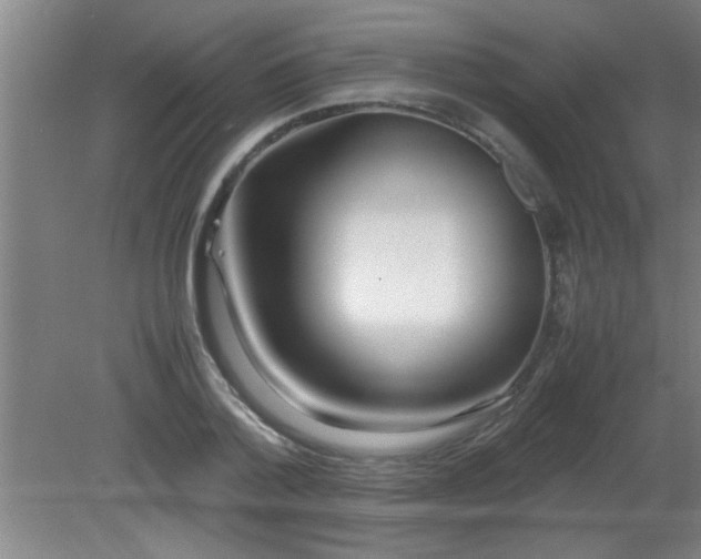 X0000080170788200612151921