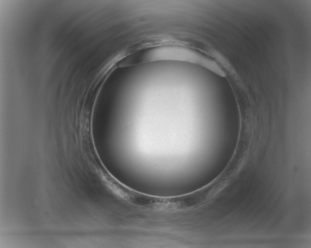 X0000080170793200612151921