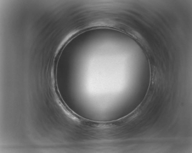 X0000080170796200612151921