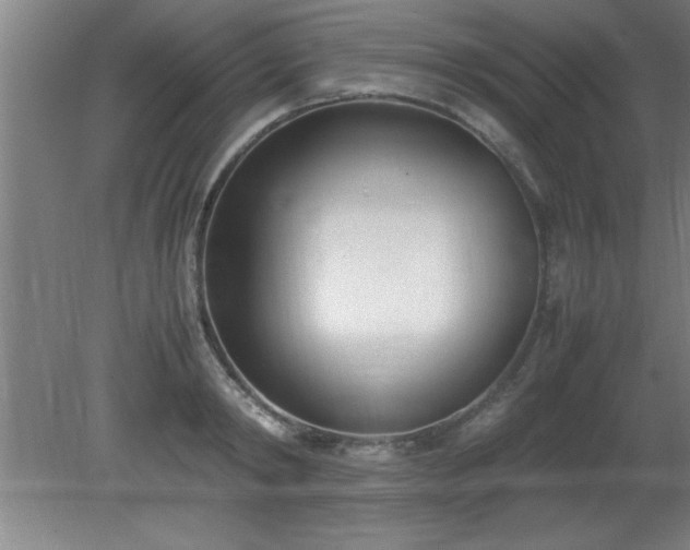 X0000080170798200612151921