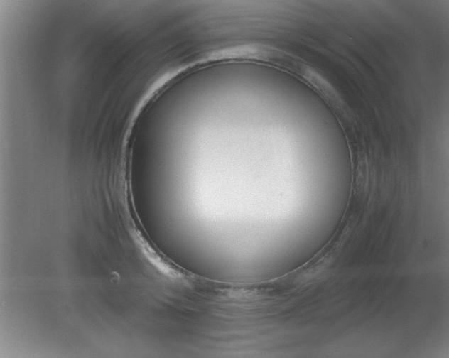 X0000080170800200612151921