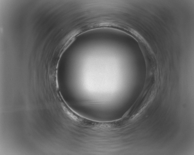 X0000080170801200612151921