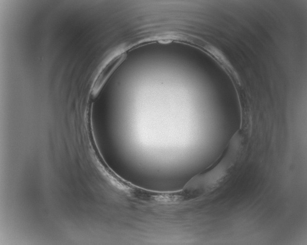 X0000080170805200612151921