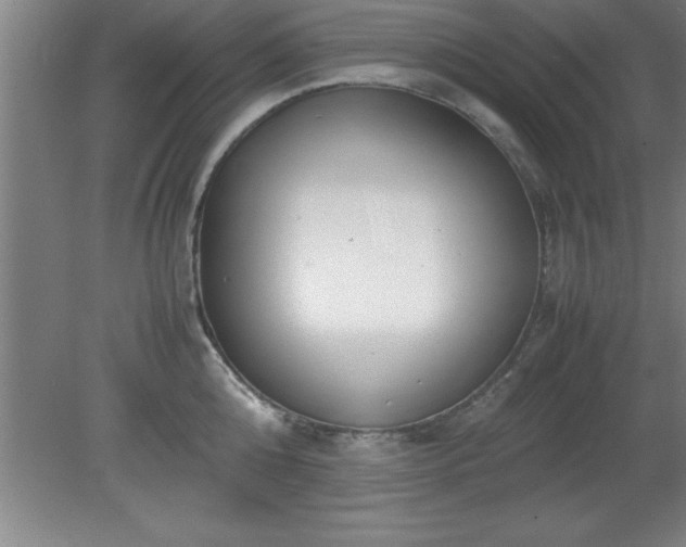 X0000080170808200612151921