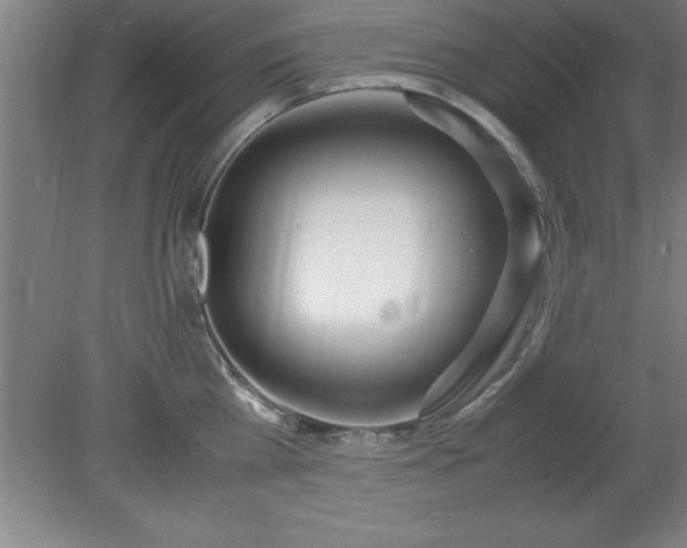X0000080170809200612151921