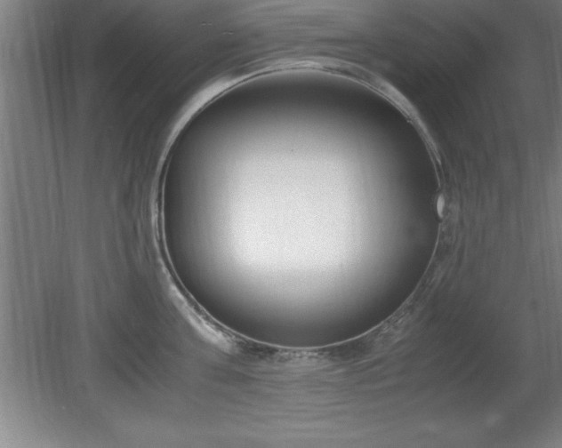X0000080170811200612151921