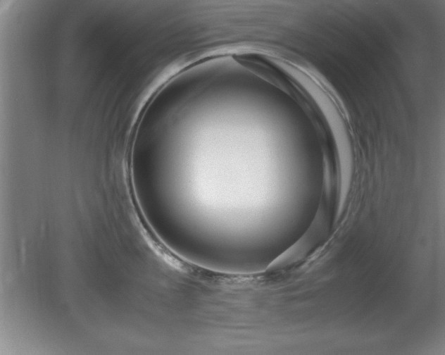 X0000080170813200612151921