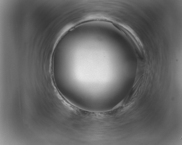 X0000080170815200612151921