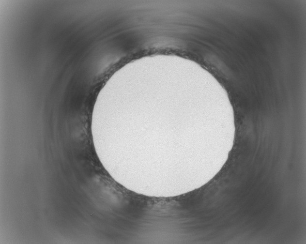 X0000080170824200612151920