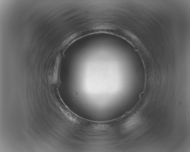 X0000080170833200612151920
